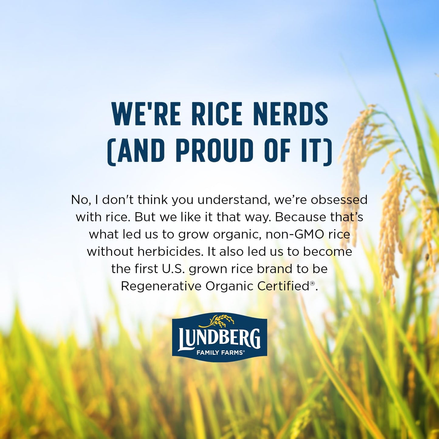 Lundberg_Organic_Basmati,_Long-Grain_Brown_Rice_–_Non-Sticky,_Fluffy_&_Aromatic,_32_Oz