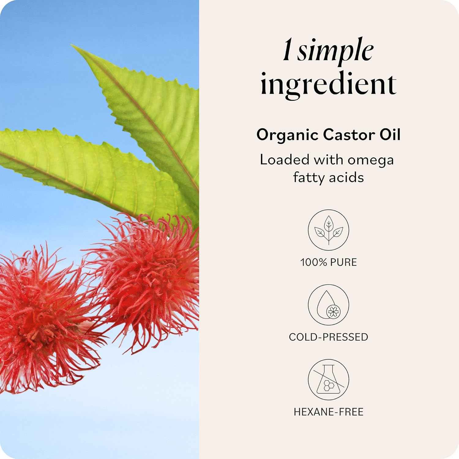 Sky Organics Castor Oil - USDA Certified Organic Hair Oil for Hair Growth, Skin, Face, Eyelashes - Cold Pressed & Hexane Free - Pure Organic Castor Oil Pack Wrap - Carrier & Hair Treatment Oil