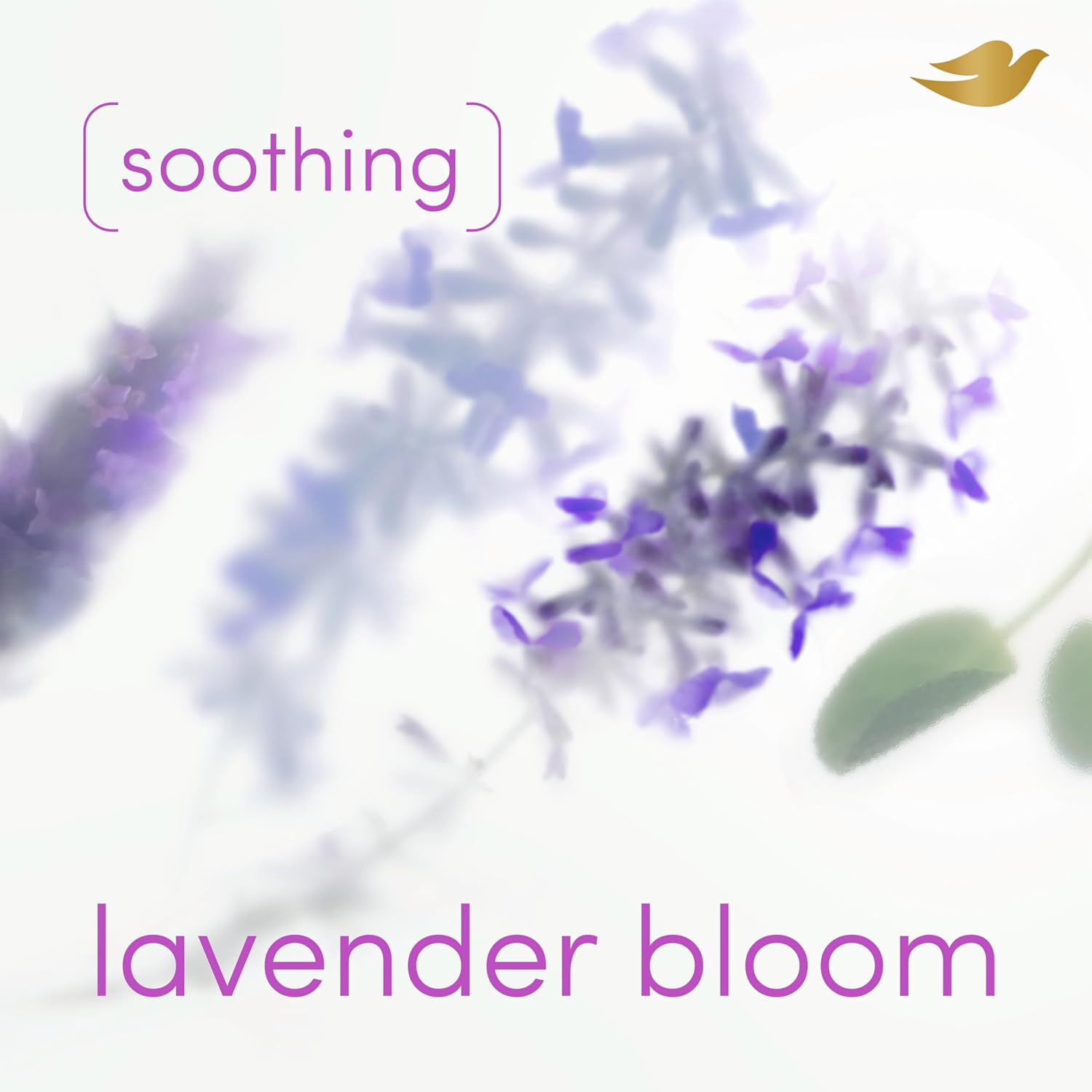 Dove_Whole_Body_Deo_Alcohol_Free_Deodorant_Spray_for_Women_72-hour_odor_control_Lavender_Bloom_4_oz