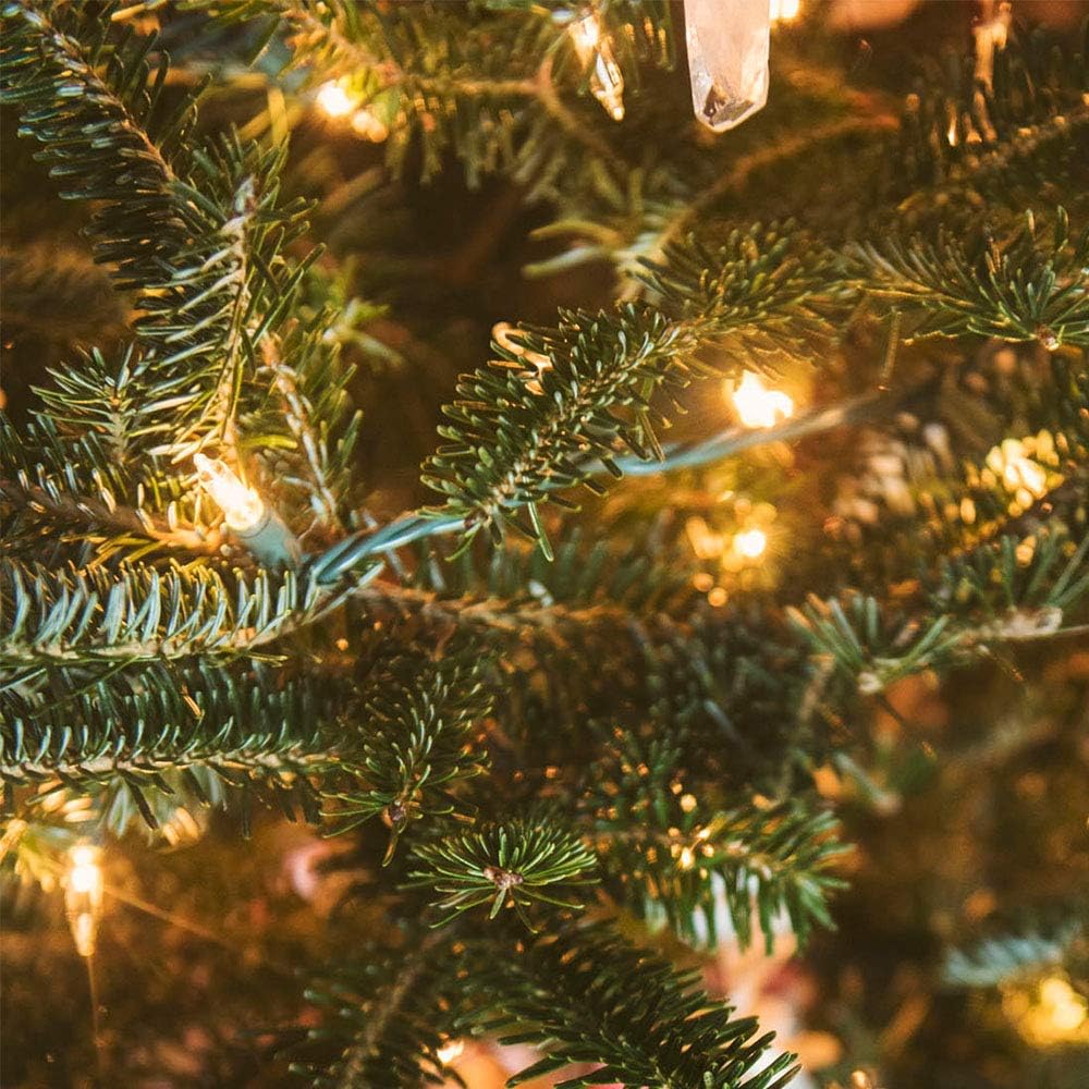 Christmas_Lights_LED_Battery_String_Lights_with_Timer_Memory_Function_USB_or_Battery_Powered_Waterproof_String_Lights_for_Indoor_Outdoor_Decoration