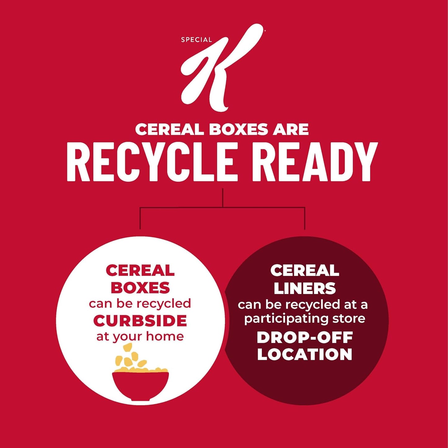 Kellogg's_Special_K_Breakfast_Cereal,_Family_Breakfast,_Fiber_Cereal,_Giant_Size,_Red_Berries,_19.2oz_Box_(1_Box)