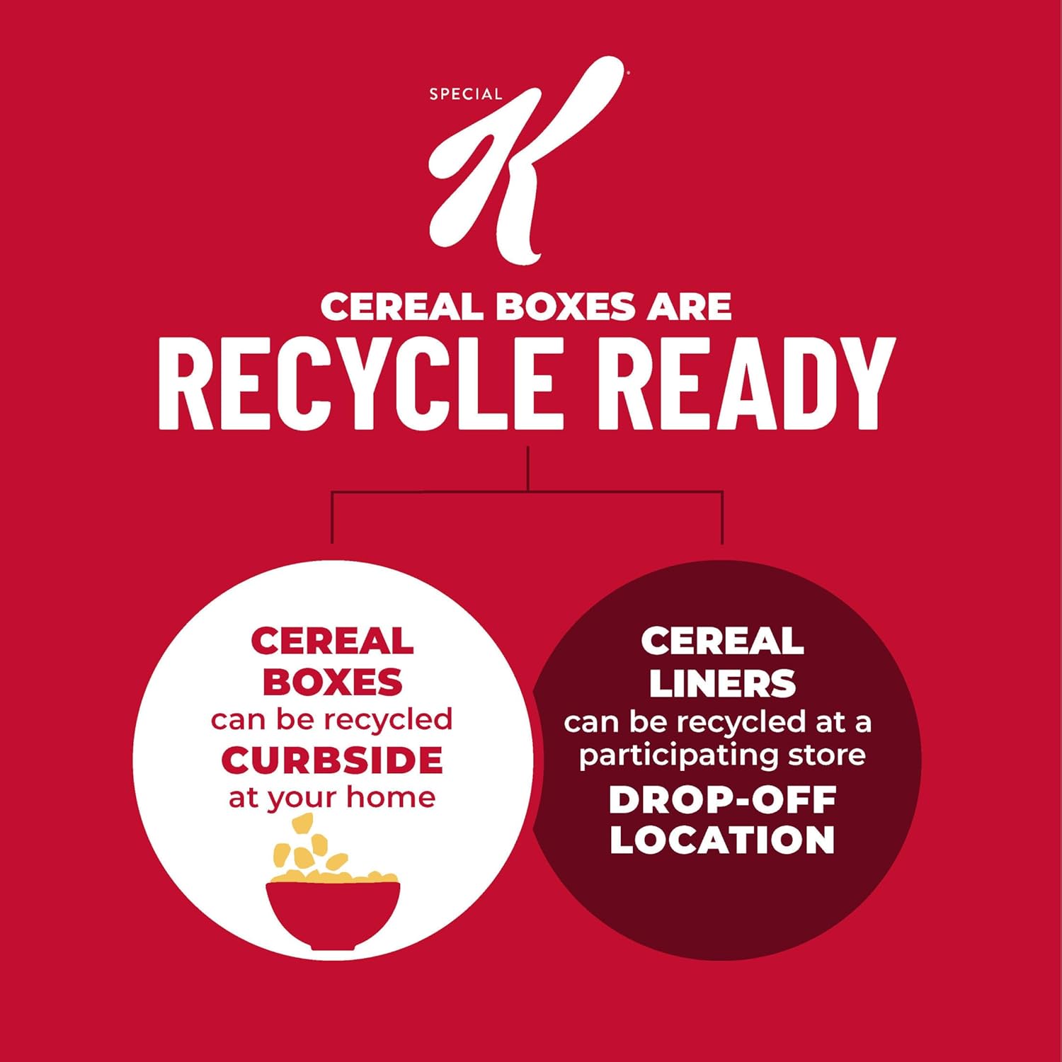 Kellogg's_Special_K_Breakfast_Cereal,_Family_Breakfast,_Fiber_Cereal,_Giant_Size,_Red_Berries,_19.2oz_Box_(1_Box)