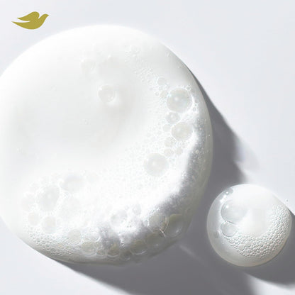 Dove_Shampoo_Intensive_Repair_for_Damaged_Hair_with_Bio-Protein_Care_Technology_and_Amino_Serum_28_Fl_Oz