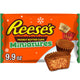 Peanut Butter - 9.9 Ounce (Pack of 1)