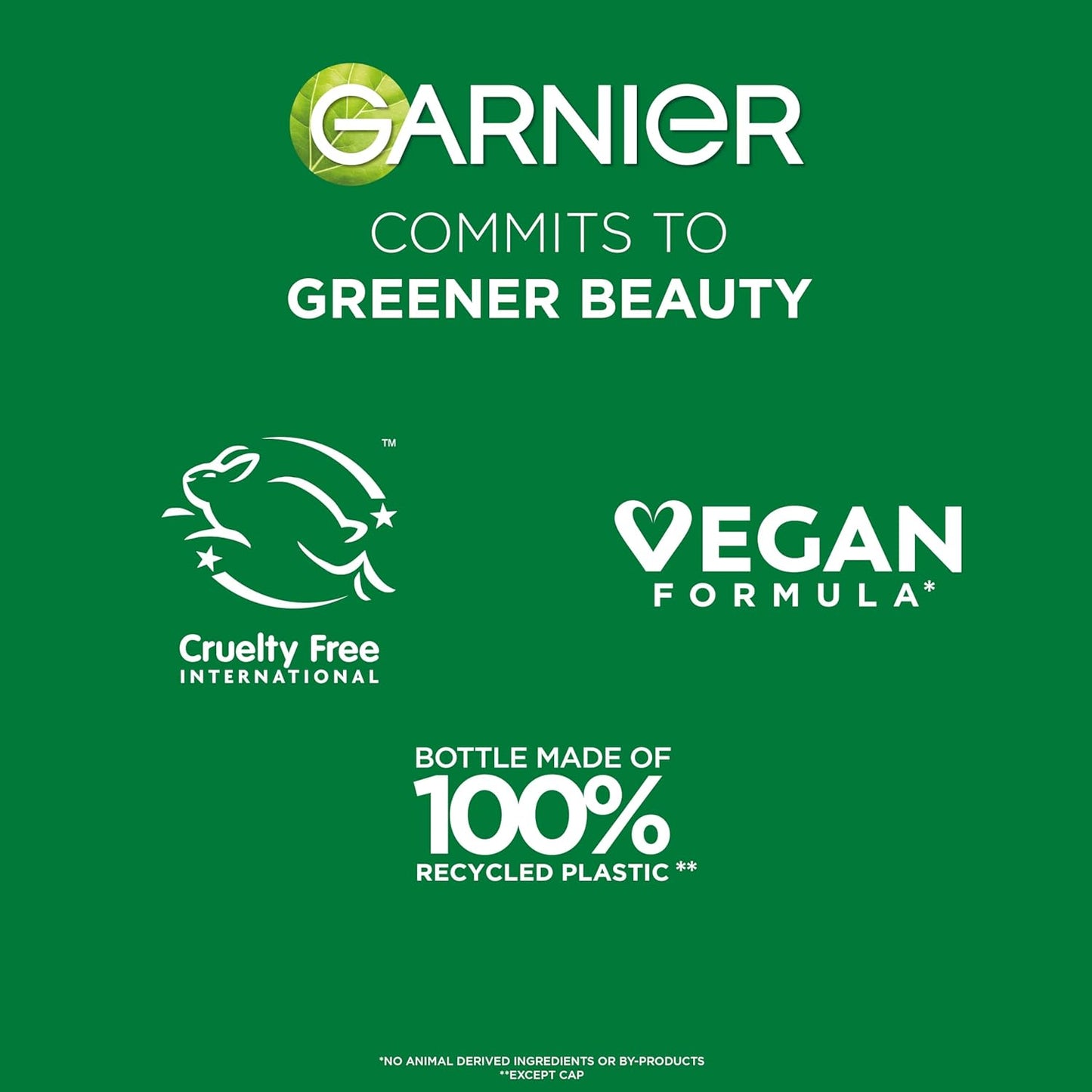 Garnier_Fructis_Sleek_&_Shine_Shampoo,_Frizzy,_Dry,_Unmanageable_Hair,_22_fl._oz.(Packaging_May_Vary)