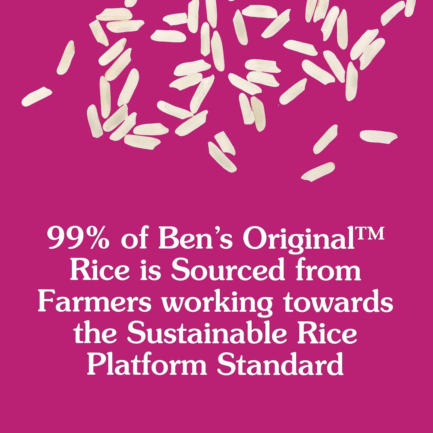 BEN'S_ORIGINAL_Enriched_Long_Grain_White_Rice,_Parboiled_Rice,_10_lb_Bag