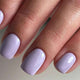 B4-Purple