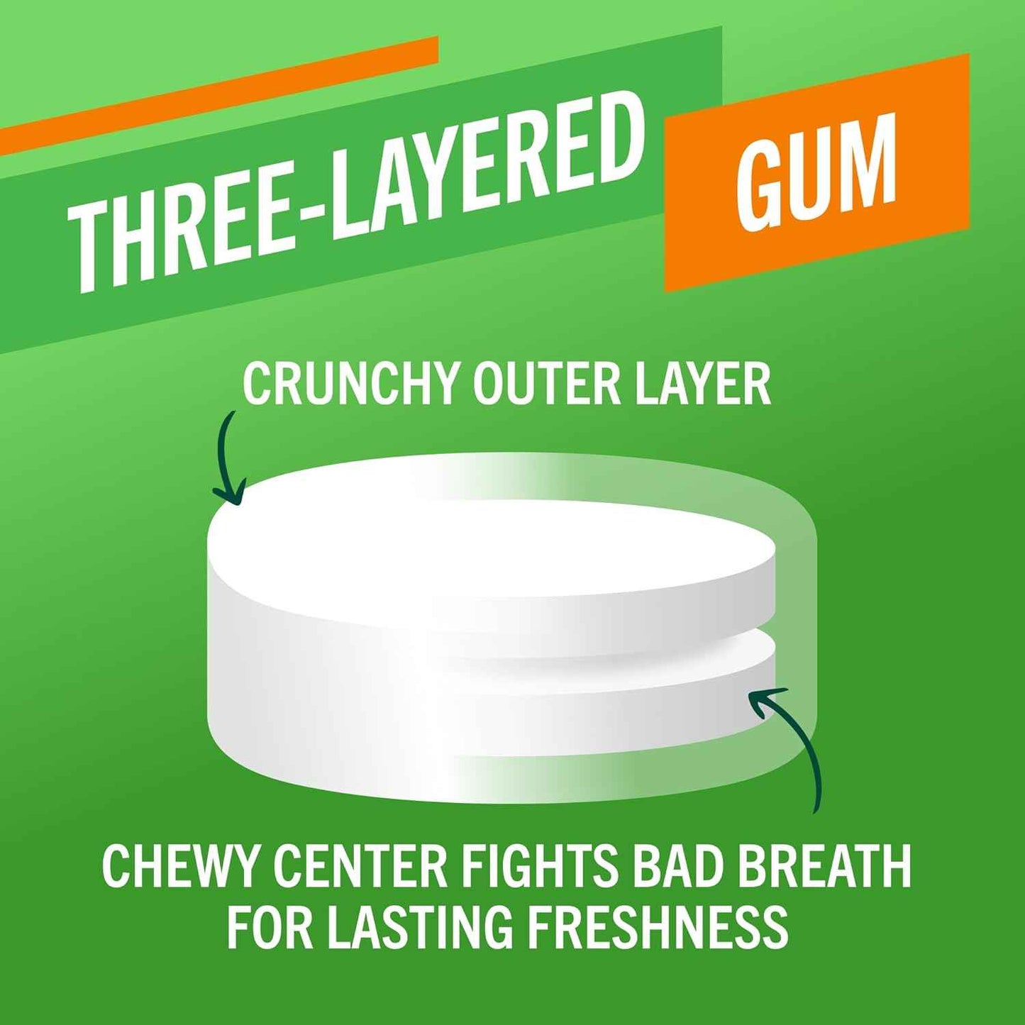 TheraBreath Fresh Breath Chewing Gum with ZINC, Citrus Mint Flavor, 10 Count (Pack of 6)