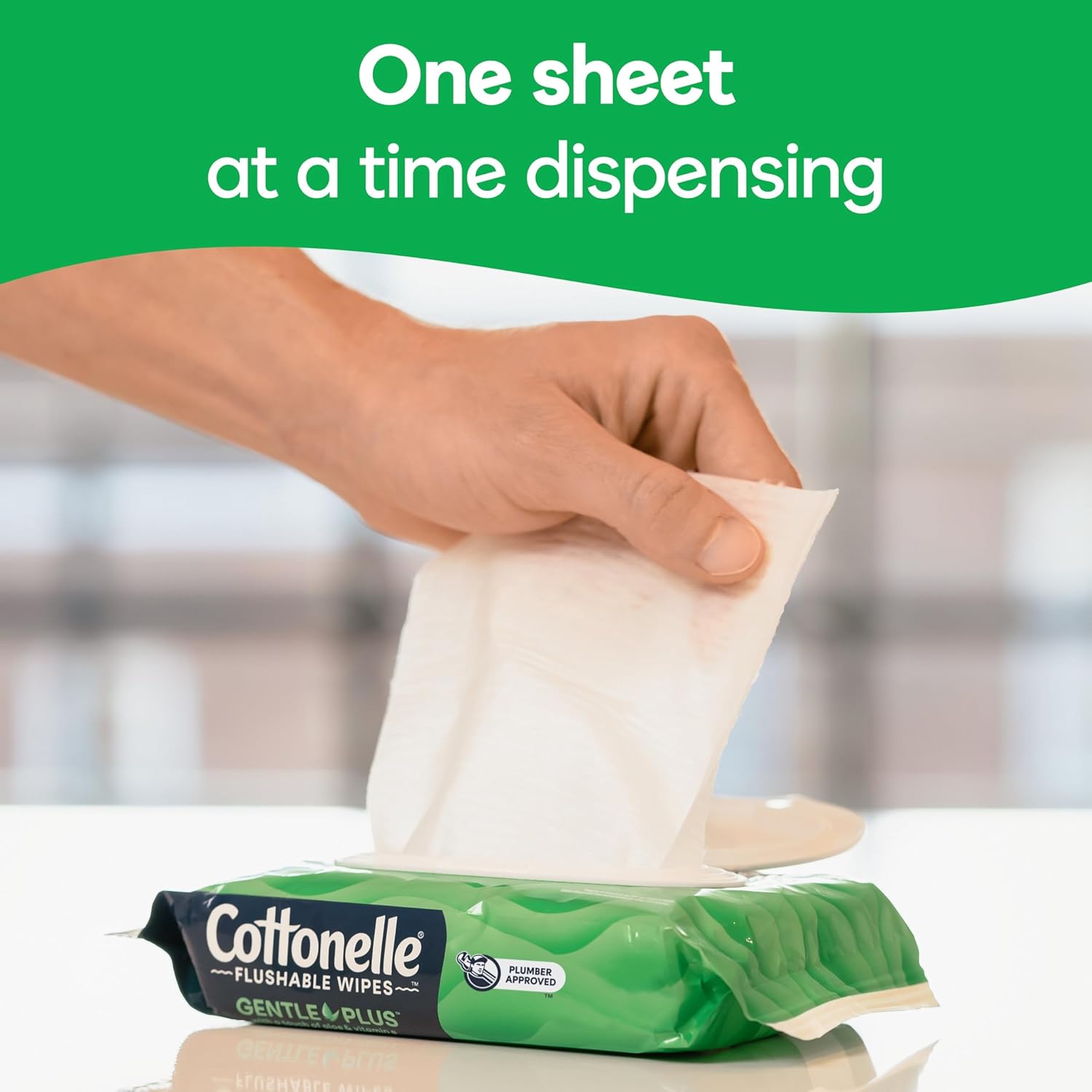Flushable_Wet_Wipes_with_Aloe_&_Vitamin_E,_6_Flip-Top_Packs,_42_Wipes_Per_Pack_(252_Total_Wipes),_Packaging_May_Vary