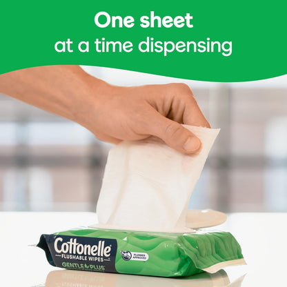 Flushable_Wet_Wipes_with_Aloe_&_Vitamin_E,_6_Flip-Top_Packs,_42_Wipes_Per_Pack_(252_Total_Wipes),_Packaging_May_Vary