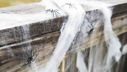 Happy Hippo Spider Web Halloween Decoration – Nursery-Safe Family Decor, Soft Webbing with Plastic Spiders for Kids' Rooms