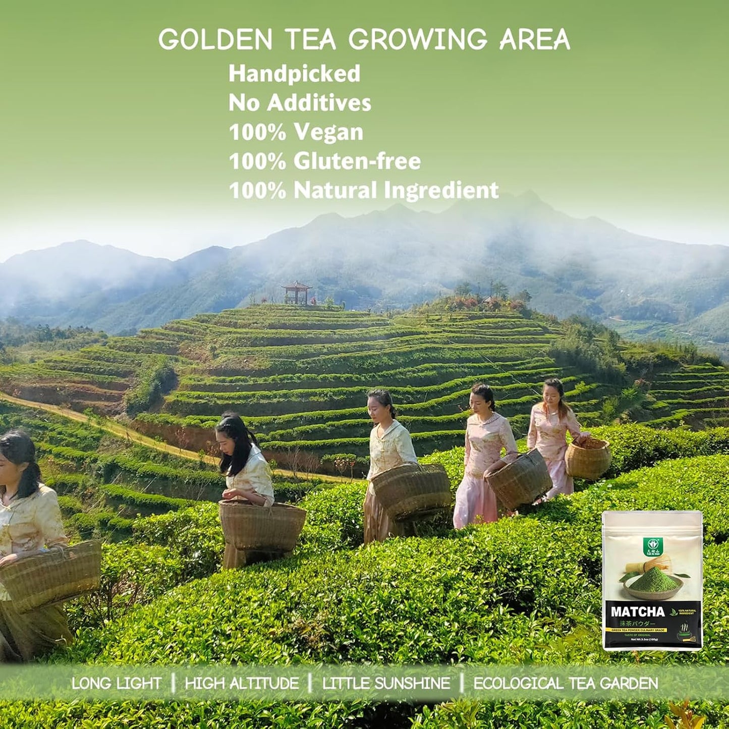 TIAN_HU_SHAN_Matcha_Green_Tea_Powder_3.5oz/100g,_Pure_Matcha_Powder_Culinary_Grade_Unsweetened_for_Lattes,_Cooking,_Baking,_Vegan_100%_Natural_（Package_May_Vary)