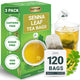 Senna Tea - 120 Tea Bags (Pack of 3)