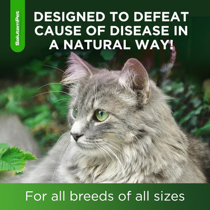 Cat_Antibiotic_for_Infections,_UTIs,_Respiratory_Moments,_Cold,_&_Allergies_|_Antibiotics_for_Cats_of_All_Ages_&_Breeds_|_Liquid_Form_|_Natural_Supplement_with_Chicken_Flavor_|_2_Oz