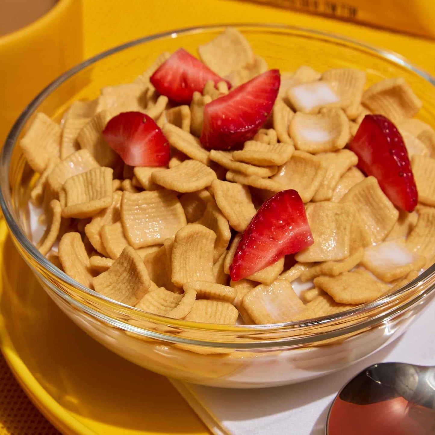 Catalina Crunch Protein Cereal - Sugar Free Breakfast Cereal with 11g of Protein - Gluten Free - Honey Graham - 9 oz. Bag