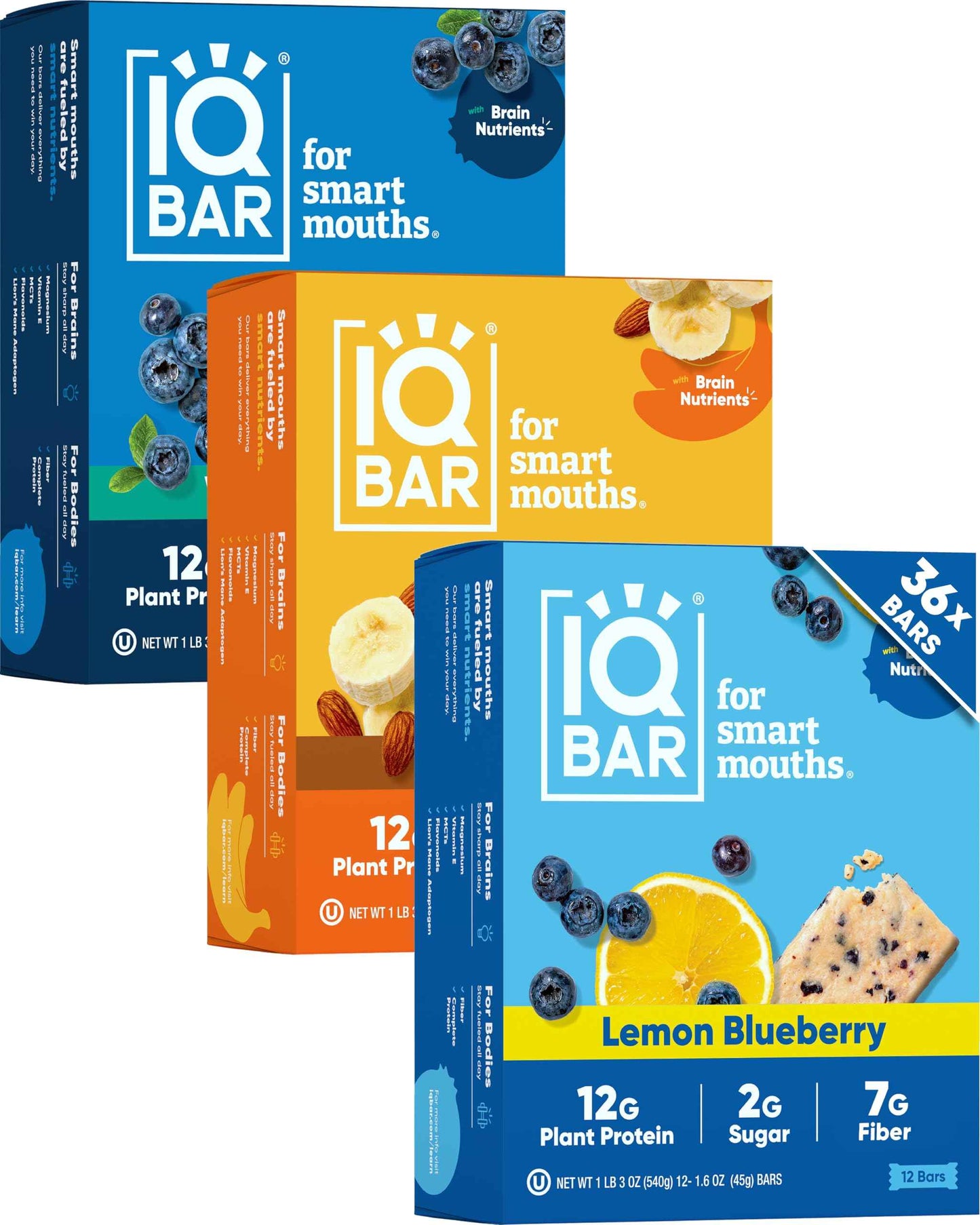 IQBAR Clean Plant Protein Bars - Keto, Vegan, High Fiber, Gluten and Dairy Free, Low Sugar Snack - Brain and Body Nutrients for Focus, Energy, Meal Replacement