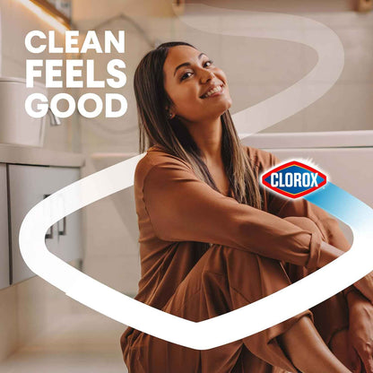 Clorox Toilet Bowl Cleaner Heavy Duty Stain and Ring Remover, Arctic Clean, 24 Fl Oz., Pack of 2