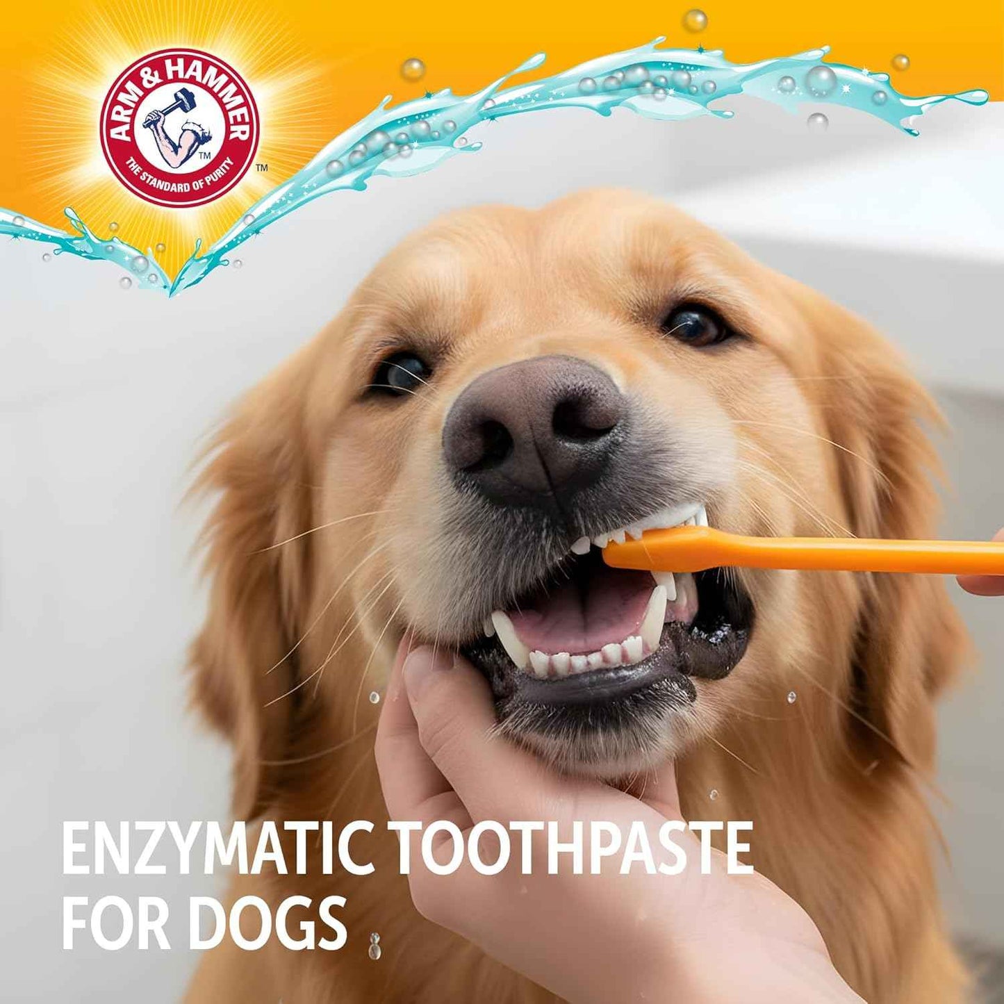 Arm & Hammer Complete Care Enzymatic Dog Toothpaste with Baking Soda and Calcium, Fluoride-Free Chicken Flavor for Plaque, Tartar, and Fresh Breath,