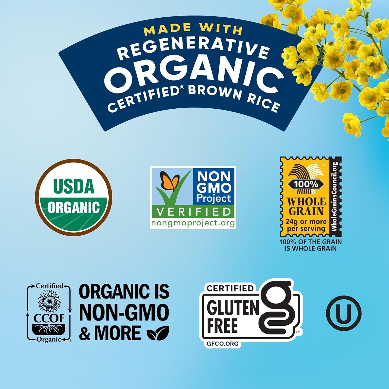 Lundberg_Organic_Rice_Cake_Minis,_Original_Sea_Salt_–_Mini_Rice_Cakes,_Healthy_Snacks_for_Adults_and_Kids,_Vegan_Snacks,_Gluten-Free,_Healthy_Food_for_Snacking_&_Dipping,_5_Oz