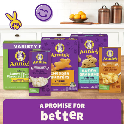 Annie's_Gluten_Free_Chewy_Granola_Bar,_Double_Chocolate_Chip,_11.76_oz,_12_Bars