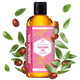 16 Fl Oz (Pack of 1)