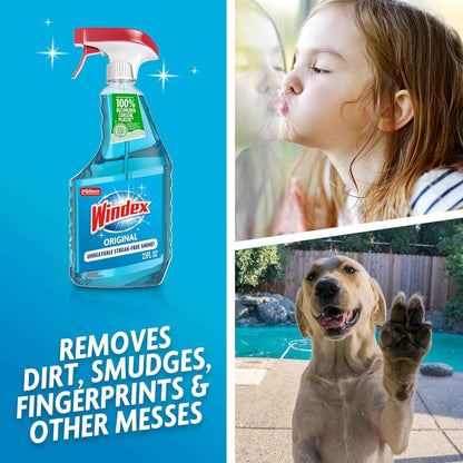 Windex Glass and Window Cleaner Spray Bottle, Packaging Designed to Prevent Leakage and Breaking, Surface Cleaning Spray, Original Blue Scent