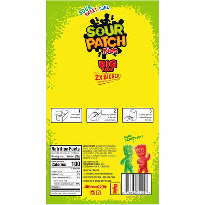 SOUR PATCH KIDS Big Kids Individually Wrapped Soft & Chewy Candy, Bulk Candy, Easter Candy, 240 Count Box