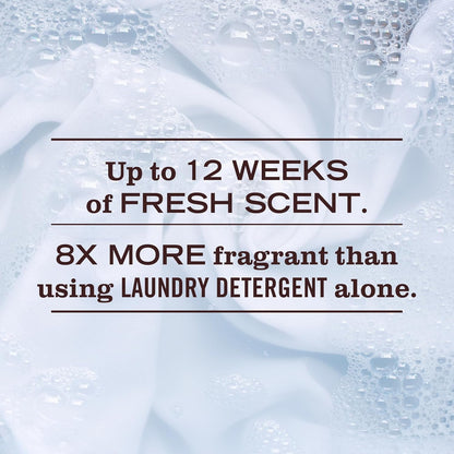 Mrs._Meyer's_Clean_Day_Laundry_Scent_Boosters,_Rain_Water_Scent,_18oz