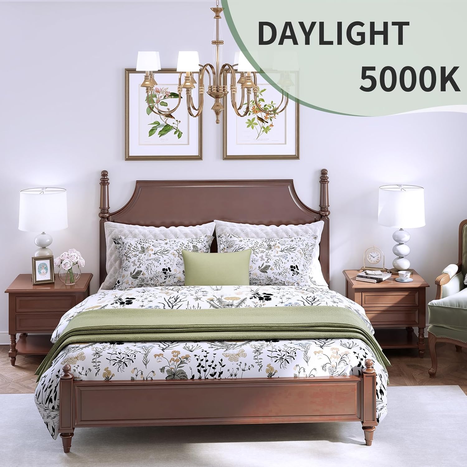 A19_LED_Light_Bulbs,60_W/100W_Equivalent_Soft_White/Daylight_2700k/5000K_with_E26_Base,800_Lumens_Non-Dimmable_LED_Bulbs,15000_Hours,_Ideal_for_Bedroom_Living_Room