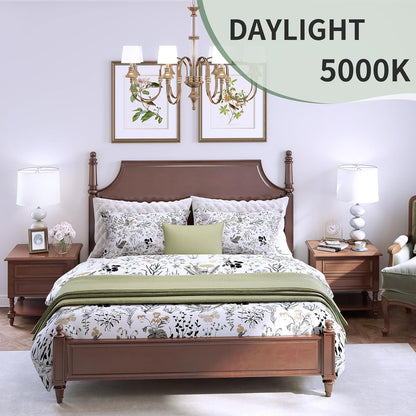A19_LED_Light_Bulbs,60_W/100W_Equivalent_Soft_White/Daylight_2700k/5000K_with_E26_Base,800_Lumens_Non-Dimmable_LED_Bulbs,15000_Hours,_Ideal_for_Bedroom_Living_Room
