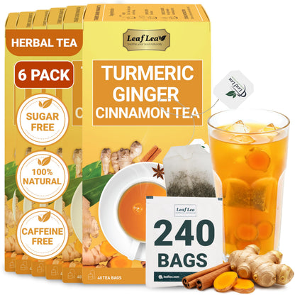 Turmeric Ginger Cinnamon Tea - 240 Tea Bags (Pack of 6)