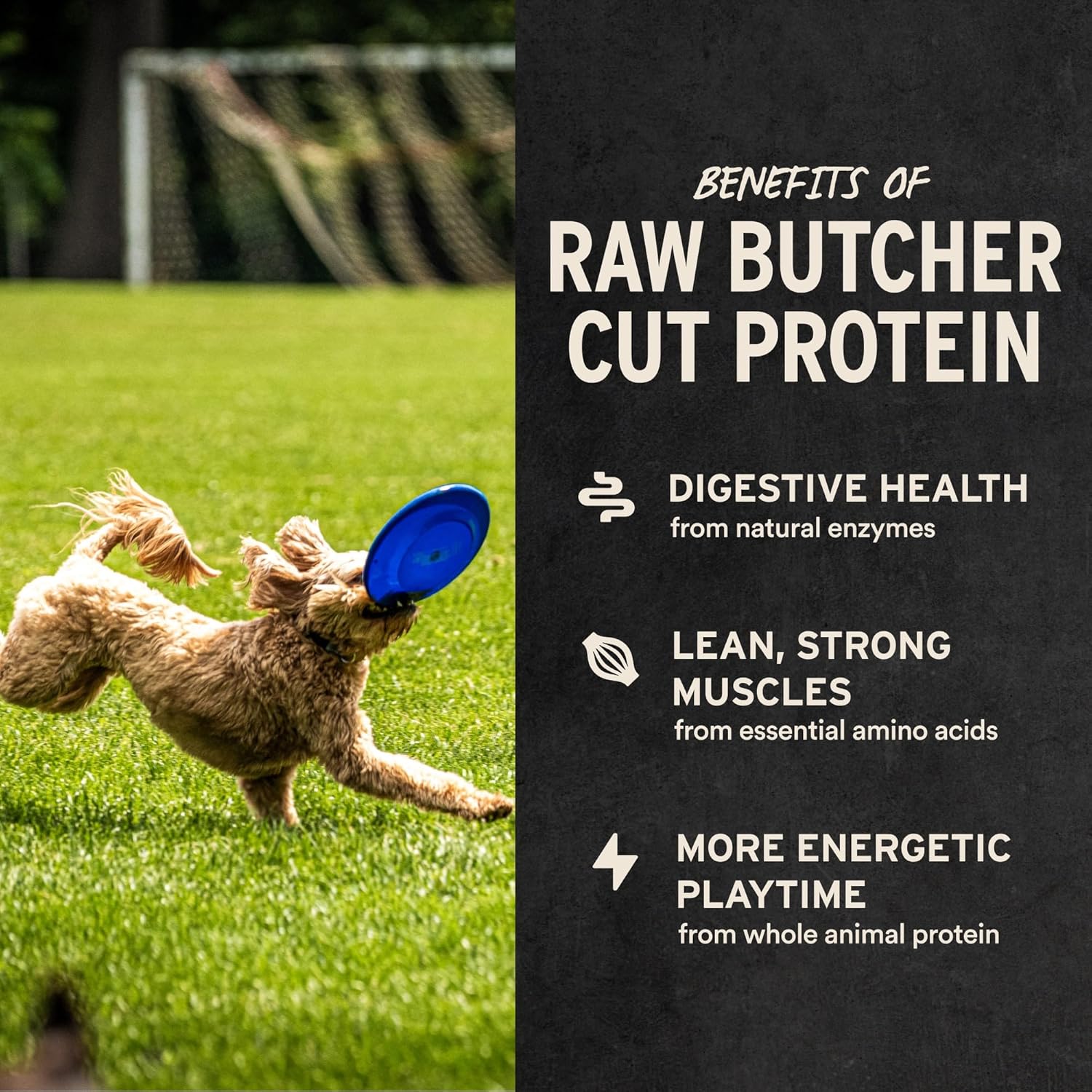 Vital_Essentials_Freeze_Dried_Dog_Treats_|_Beef_Liver,_Single_Ingredient_|_Premium_Quality_|_Grain_Free_Training_Treats_for_Dogs,_2.1_oz_Bag