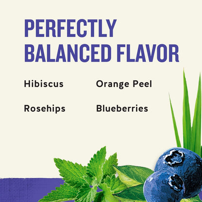 Celestial_Seasonings_True_Blueberry_Herbal_Tea_Bags,_Caffeine_Free,_20_Bags_Box_(Pack_of_6)