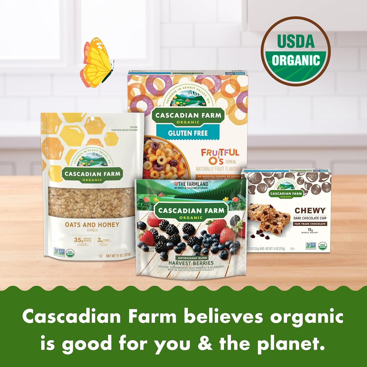 Cascadian_Farm_Organic_Chewy_Granola_Bars,_Dark_Chocolate_Chip,_Value_Size,_10_Bars,_12.3_oz