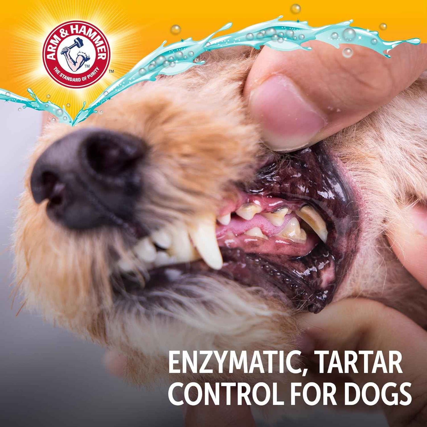 Arm & Hammer Complete Care Enzymatic Dog Toothpaste with Baking Soda and Calcium, Fluoride-Free Chicken Flavor for Plaque, Tartar, and Fresh Breath,