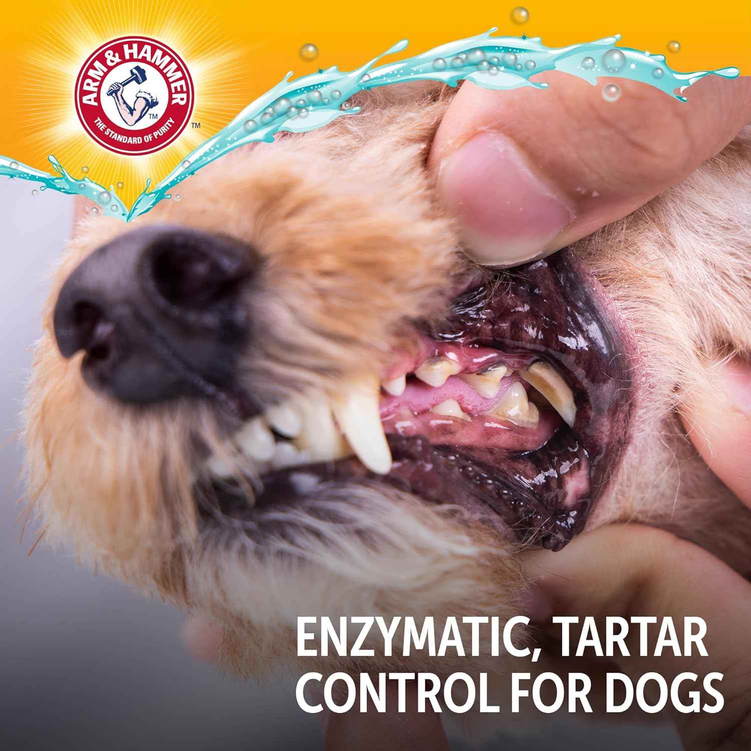 Arm & Hammer Complete Care Enzymatic Dog Toothpaste with Baking Soda and Calcium, Fluoride-Free Chicken Flavor for Plaque, Tartar, and Fresh Breath,