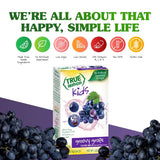 True Lemon, Fruit Punch Packets Low Sugar No Preservatives Kids Hydration Drink Mix, 1.38 Ounce