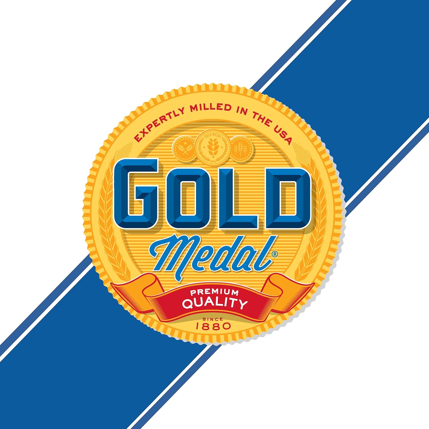 Gold_Medal_Unbleached_All_Purpose_Flour,_Baking_Flour,_10_lb_Bag