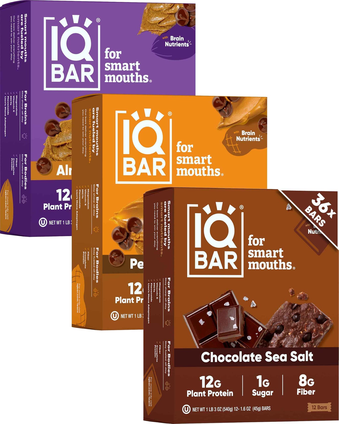 IQBAR Clean Plant Protein Bars - Keto, Vegan, High Fiber, Gluten and Dairy Free, Low Sugar Snack - Brain and Body Nutrients for Focus, Energy, Meal Replacement