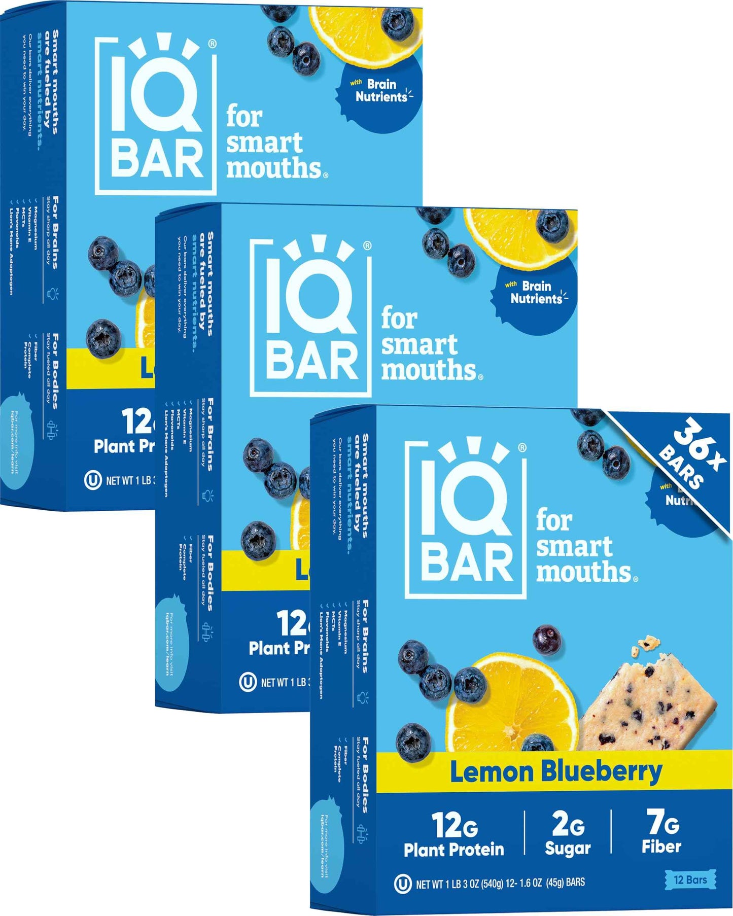 IQBAR Clean Plant Protein Bars - Keto, Vegan, High Fiber, Gluten and Dairy Free, Low Sugar Snack - Brain and Body Nutrients for Focus, Energy, Meal Replacement