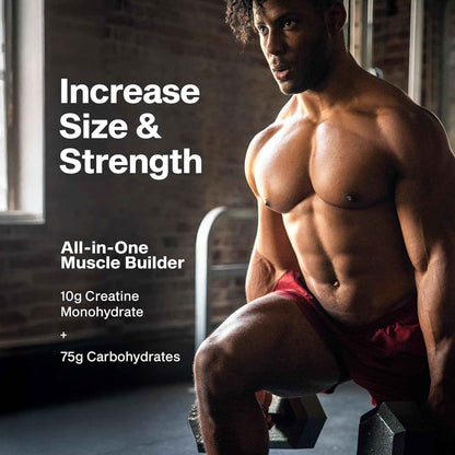 MuscleTech Creatine Monohydrate Powder - Cell-Tech Creatine Powder Post Workout Recovery Drink, Muscle Builder & Musclebuilding Creatine Supplement - Fruit Punch - Packaging May Vary