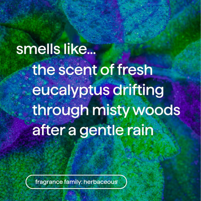 Method_Foaming_Hand_Wash,_Eucalyptus_+_Rosemary,_10_fl_oz,_3_pack