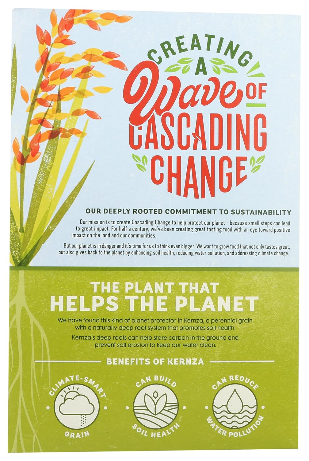 Cascadian_Farm,_Cereal_Kernza_GRNS_Climate_Smart_Organic,_13.3_Ounce