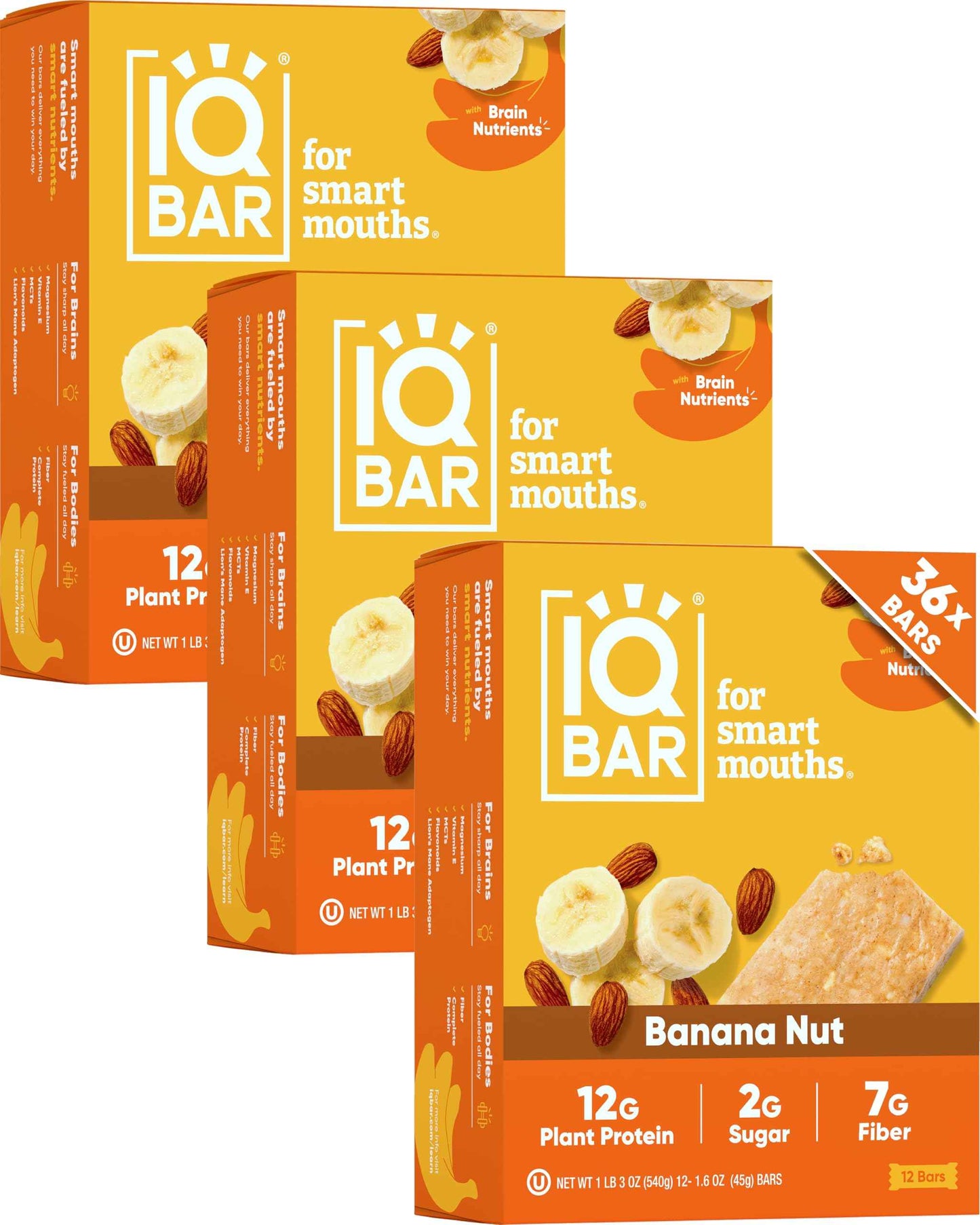 IQBAR Clean Plant Protein Bars - Keto, Vegan, High Fiber, Gluten and Dairy Free, Low Sugar Snack - Brain and Body Nutrients for Focus, Energy, Meal Replacement