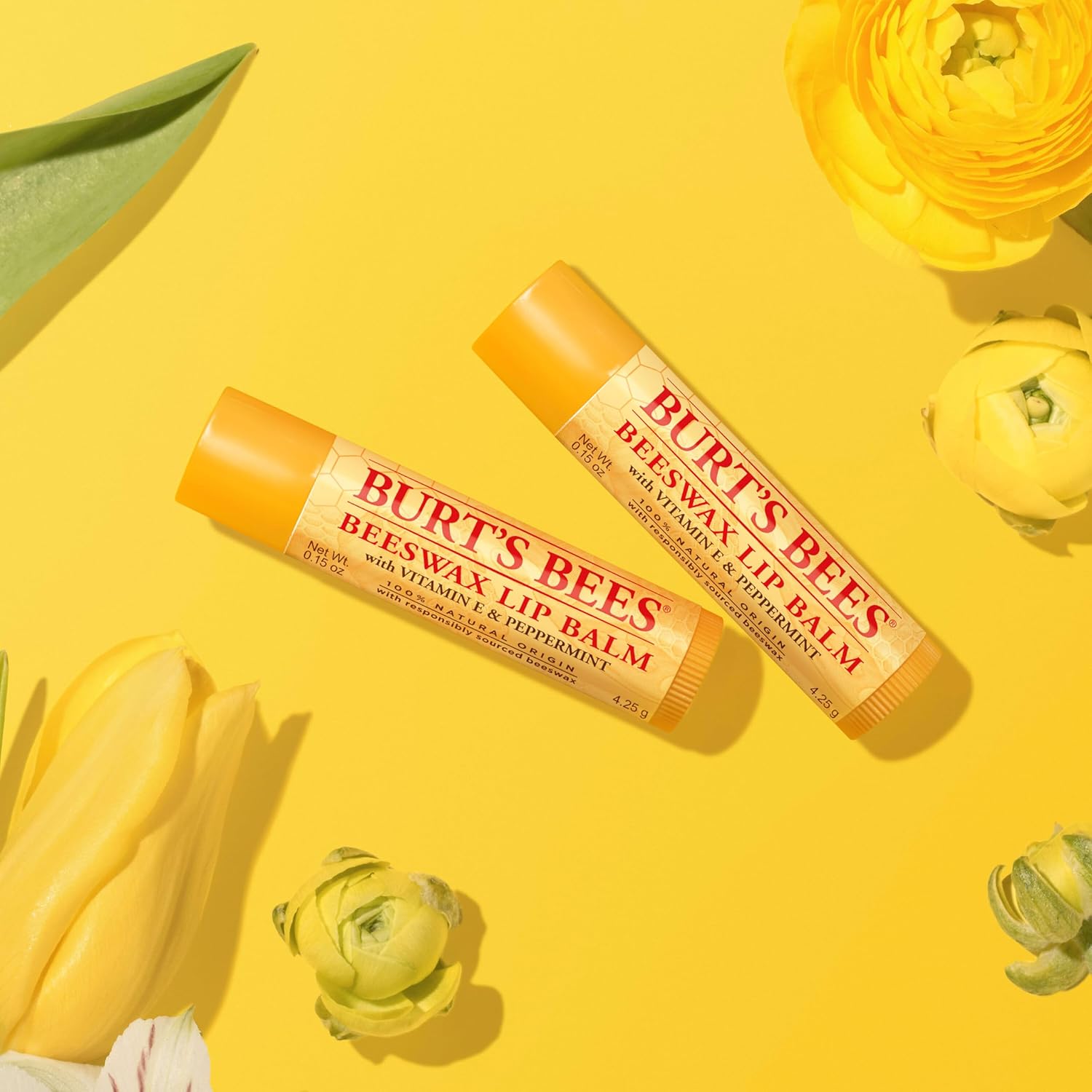 Burt's_Bees_Back_To_School_Gift_Ideas,_Lip_Balm_-_Original_Beeswax_12_Count_Pack_in_Bulk,_Lip_Moisturizer_With_Responsibly_Sourced_Beeswax,_Natural_Origin_Conditioning_Lip_Treatment,_12_Tubes,_0.15_oz