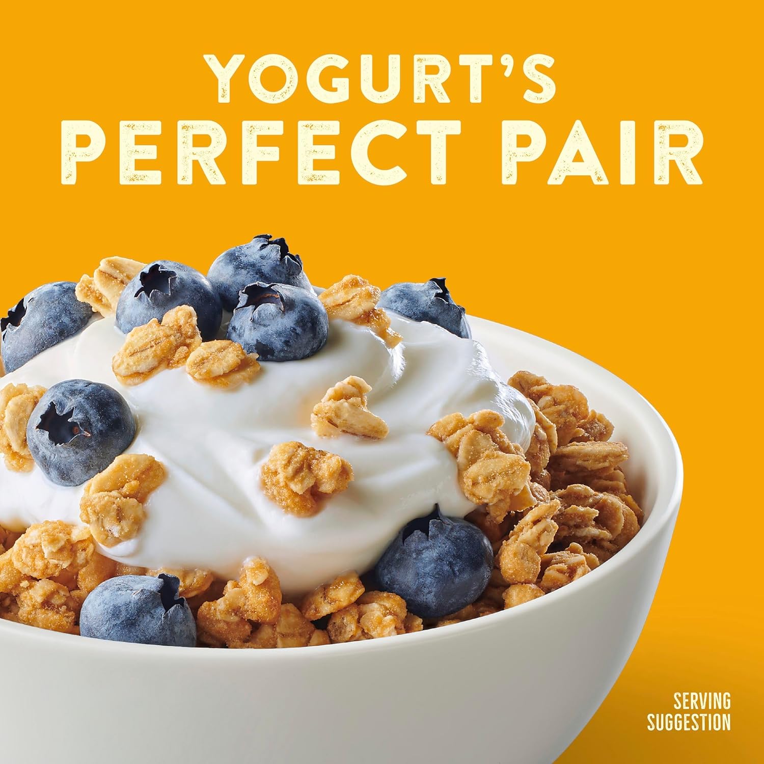Nature_Valley_Protein_Granola,_Oats_and_Honey_Granola,_Resealable_Snack_Pouch,_11_oz