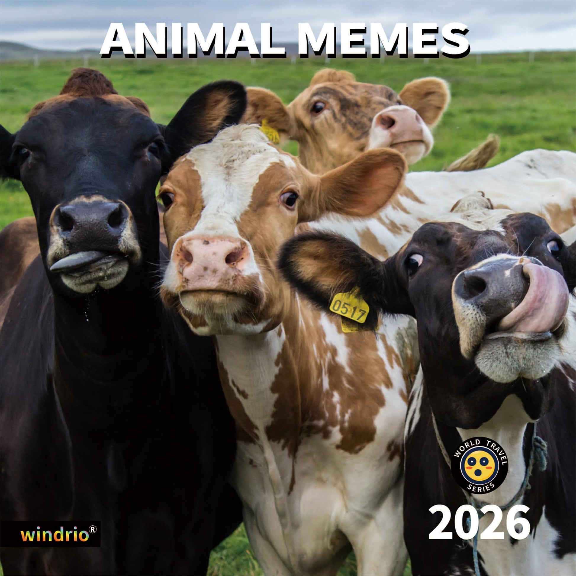 2026 Wall Calendar,Funny Calendar 2026, November 2025 - December 2026, Wall Calendar Funny Animal Memes, 12&amp;#34; x 24&amp;#34; Opened, Full Page 12 Months Thick Paper for Gift Calendar Organizing Planning