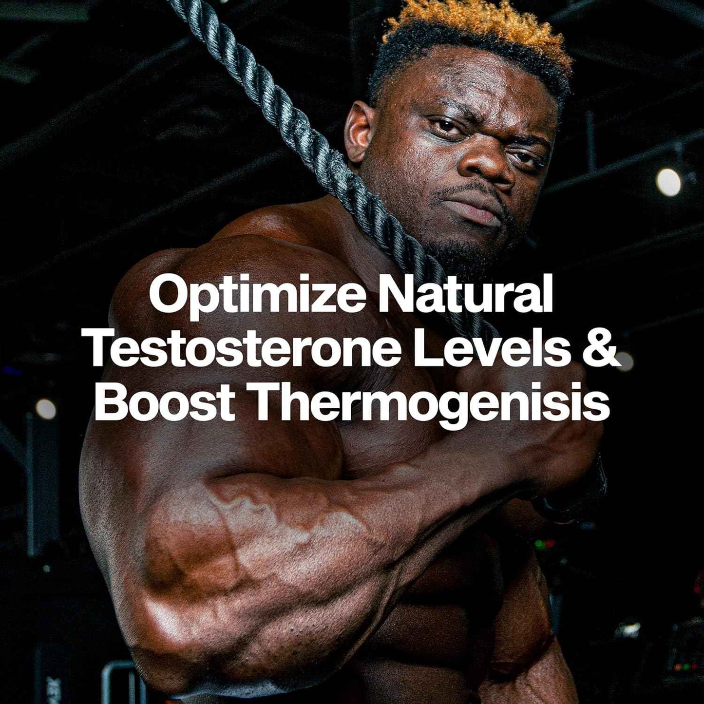 MuscleTech Thermogenic Testosterone Booster for Men, AlphaTest Thermo - T-Boost Mens Supplement with Tribulus Terrestris - Male Gym Workout Supplements for Muscle Growth, Stamina & Energy - 90 Pills