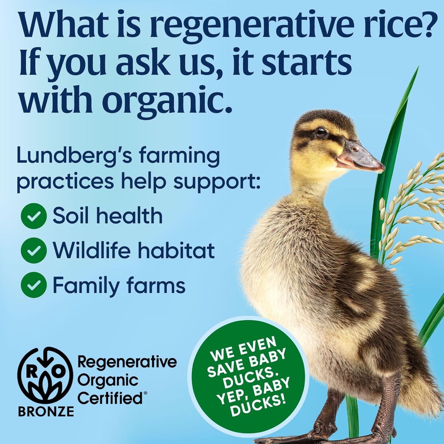 Lundberg_Value_Size_Regenerative_Jasmine_Rice_17.3_OZ