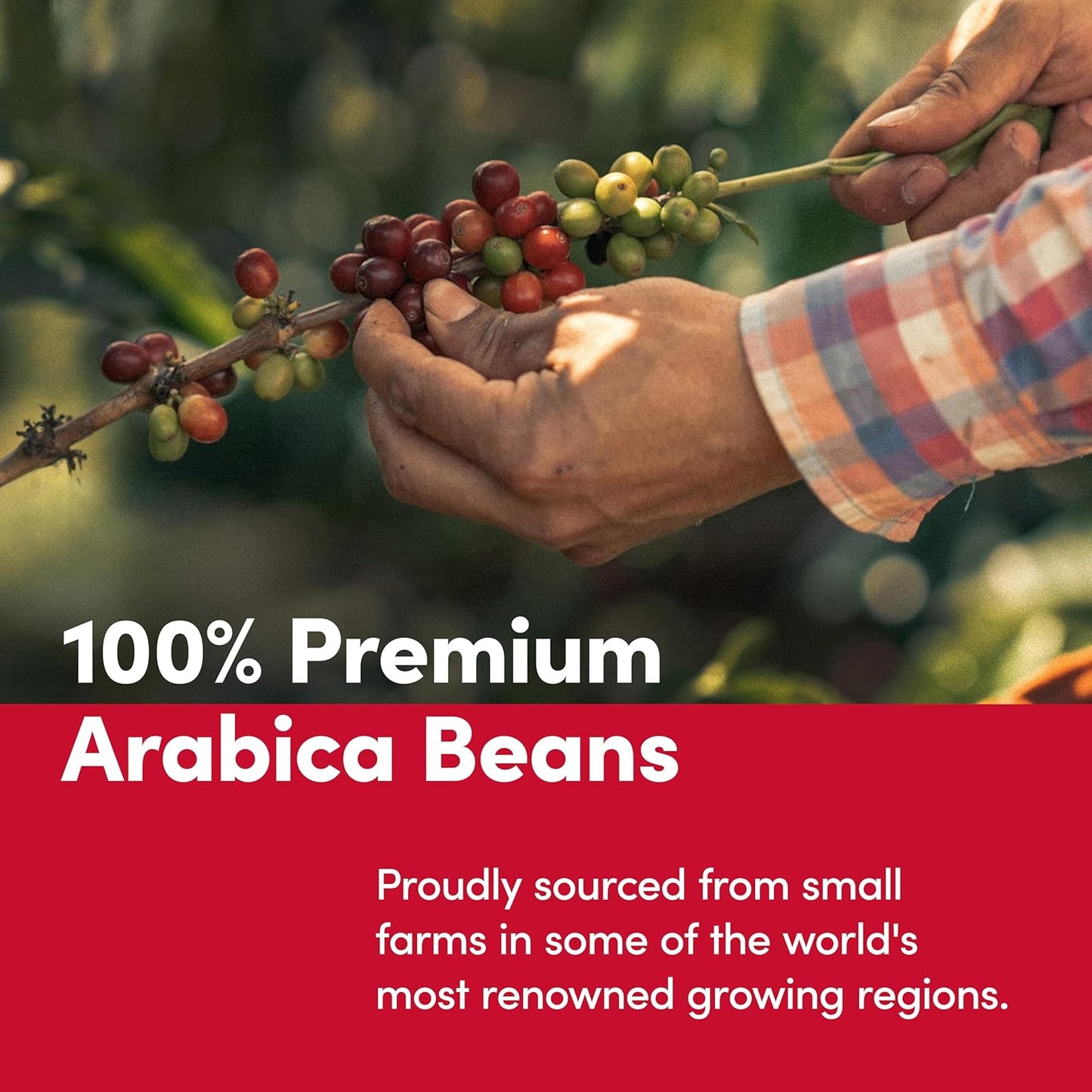 Tim_Hortons_12ct_KCUPs,_Light_Roast_Rocky_Mountain_Sunrise_100%_Arabica_Coffee